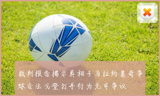 裁判报告揭示真相卡马拉约基奇争球合法戈登打手行为无可争议