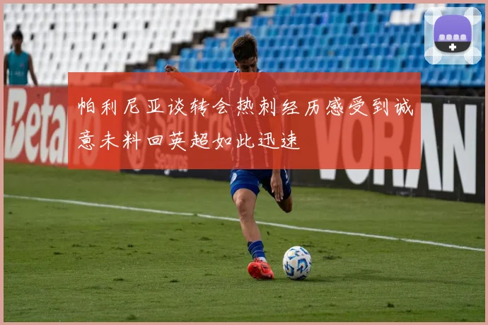帕利尼亚谈转会热刺经历感受到诚意未料回英超如此迅速