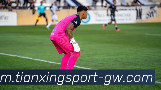 App Interface Preview