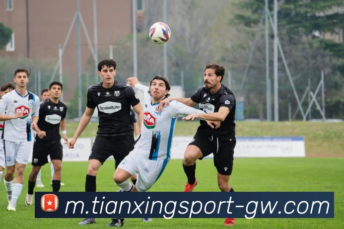 天行体育APP 封面图